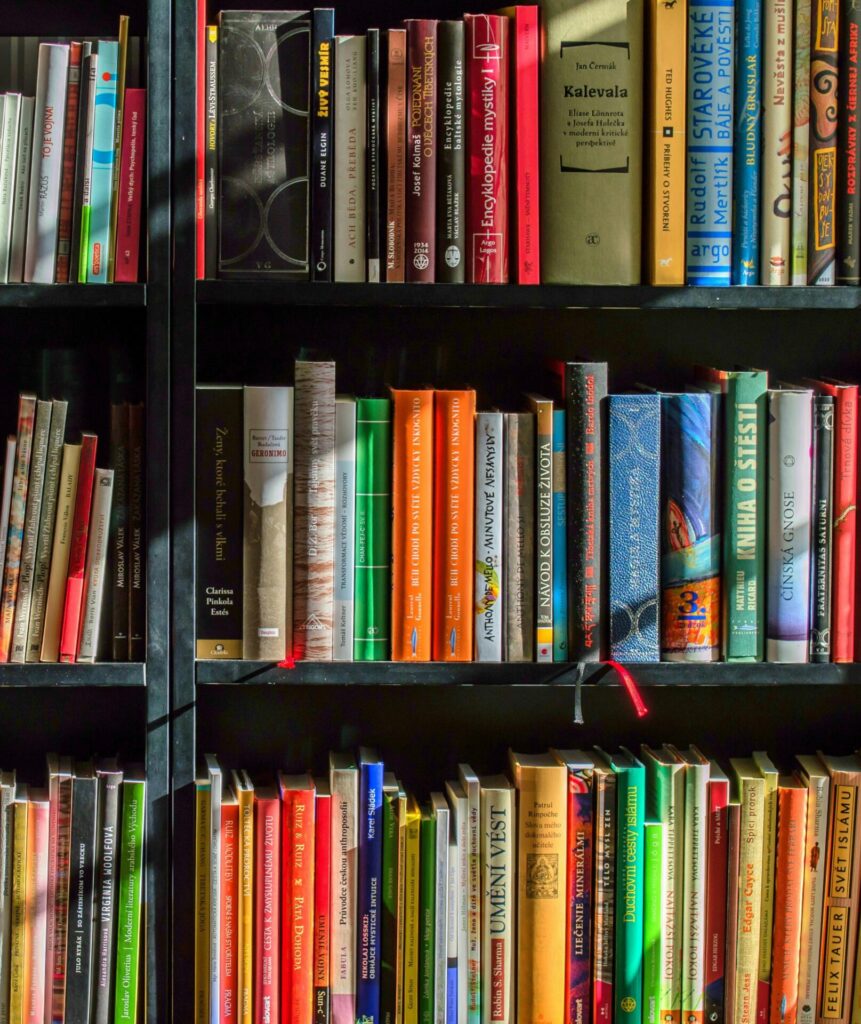 Three rows of different books on shelves.